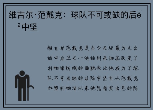 维吉尔·范戴克：球队不可或缺的后防中坚